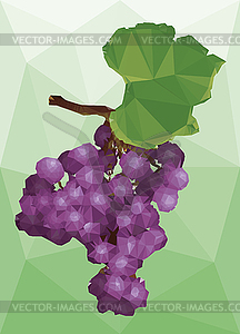 Vector illustration of a bunch of ripe grapes - vector clipart