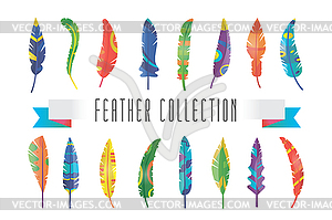 Feathers silhouette set - vector image