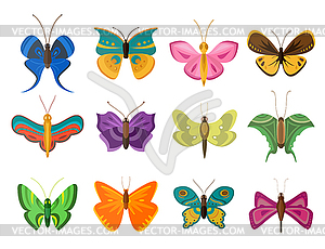 Colorful butterflies flat style collection - vector clipart / vector image