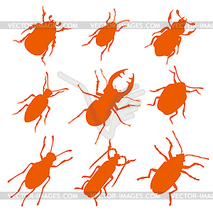 Colorful insects biology collection - vector clipart / vector image