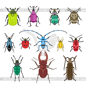 Colorful insects biology collection - vector clipart