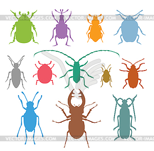 Красочные насекомые коллекция биологии - иллюстрация в векторном формате