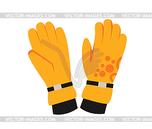 Snowboard sport clothes and tools elements - vector image