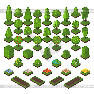 Isometric tree set green forest nature  - vector image