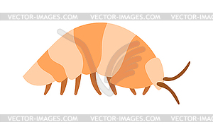 Beetle wood louse exoskeleton armadillo armor insec - vector image