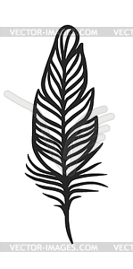 Rustic decorative black feather doodle vintage art - vector clipart