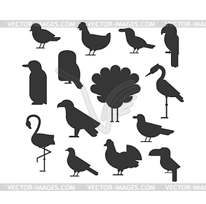 Collection of nature black bird wildlife animal - royalty-free vector image