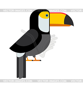 Toucan Ramphastos TOCO сидит на ветке дерева и - векторизованное изображение клипарта