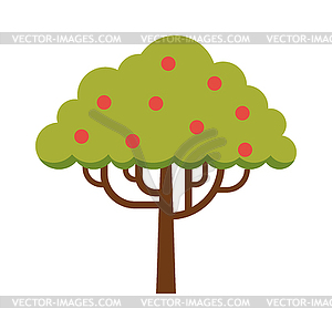 Green tree full of red apple garden summer organic - vector image