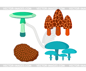 Mushrooms set different types - vector clipart
