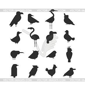 Collection of nature black bird wildlife animal - royalty-free vector image