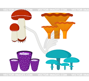 Mushrooms set different types - vector clip art