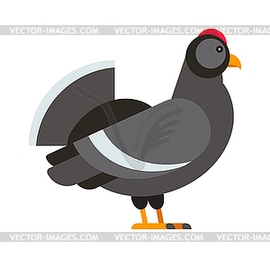 Wild pheasant pheasant, red-legged partridge - vector clipart