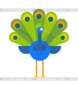 Beautiful peacock colorful blue beautiful nature - vector image