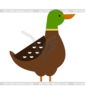 Cartoon duck farm animal character  - stock vector clipart