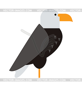 North American bald eagle raptor wildlife bird and - vector clip art