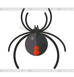 Плоский паук опасность насекомое значок силуэт - векторный клипарт Royalty-Free
