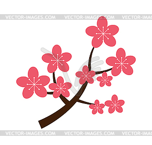 Realistic sakura japan cherry branch with blooming - vector image