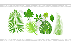 Leave icon  - vector clipart / vector image