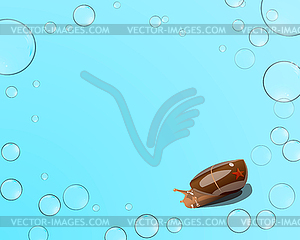 Starfish and snail, bubbles on blue background - vector image