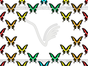 Seamless pattern, butterflies of all colors of - vector clipart / vector image