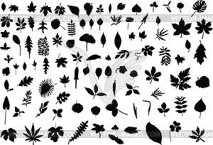 100 leaves - vector clip art