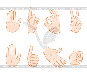 Common hand gestures - vector image