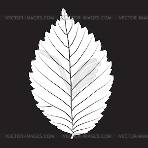 Silhouette leaf - stock vector clipart