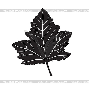 Силуэт листьев форма - изображение в векторе