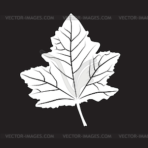 Silhouette leaf - vector clip art