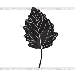 Silhouette leaf shape - vector image