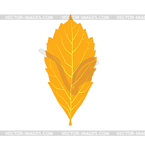 Autumn leaf shape - vector image