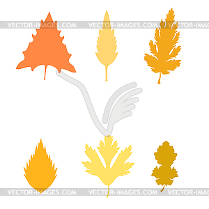 Collection of leaves - vector image