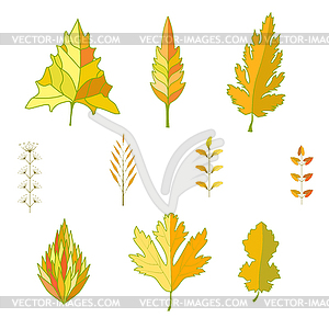 Collection of leaves - vector clip art