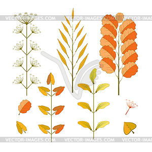 Collection of leaves - vector image