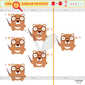 Find two similar pictures - vector clipart