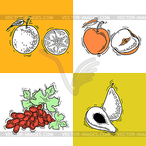 Fruit - vector clipart
