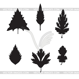 Collection of silhouette leaves - vector clipart