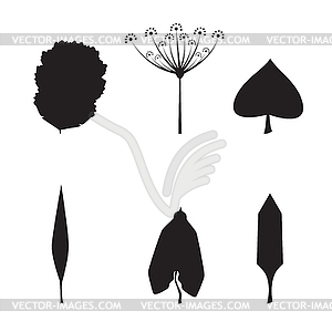 Collection of silhouette leaves - vector clipart