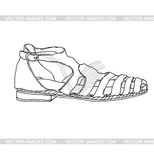 Women`s shoes - vector image