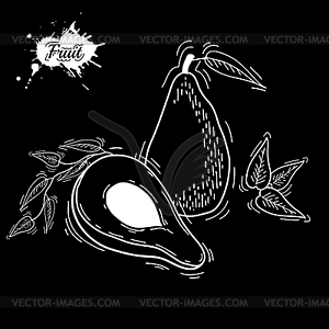 Avocado - vector clipart