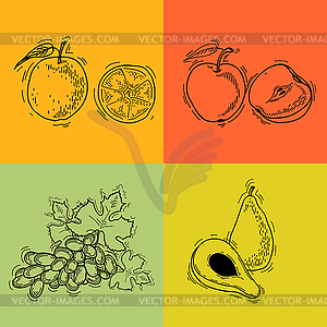 Fruits - vector image