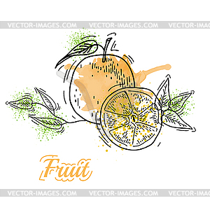 Watercolor orange - vector image