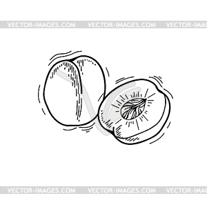 Peach - vector clipart