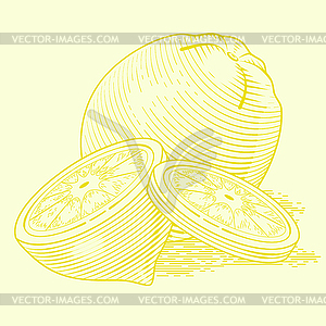 Lemon - color vector clipart