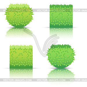 Grass  - vector clipart