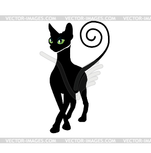 Black cat silhouette  - vector clipart