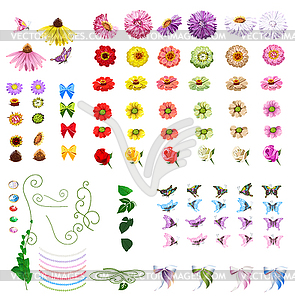 Flowers set - vector image