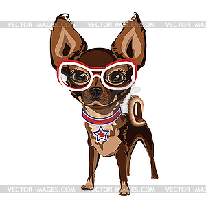 Маленькая собачка в очках - векторная иллюстрация