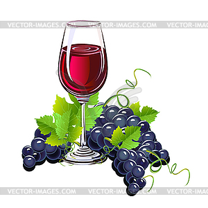 Glass of wine and grapes  - vector image